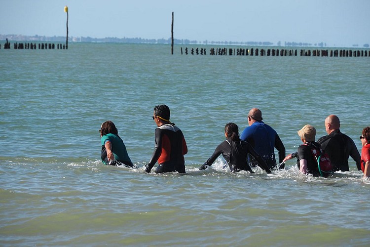 Marche aquatique côtière