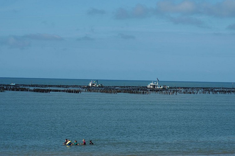 Marche aquatique côtière