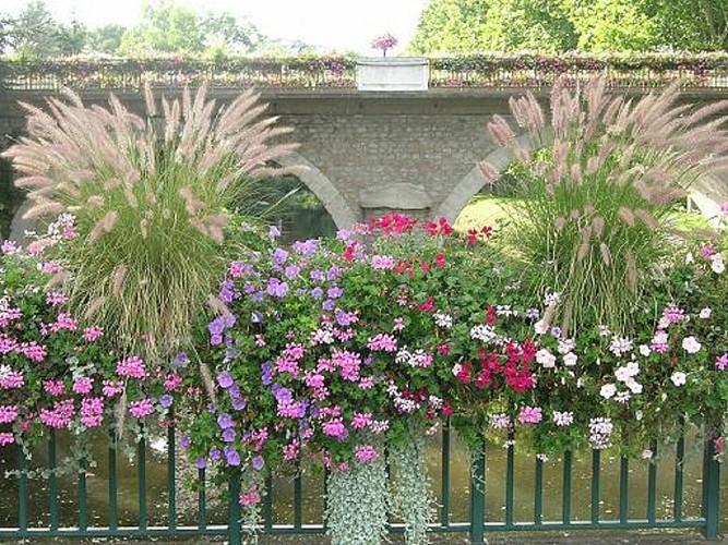 Saint Galmier Ville fleurie 4 fleurs