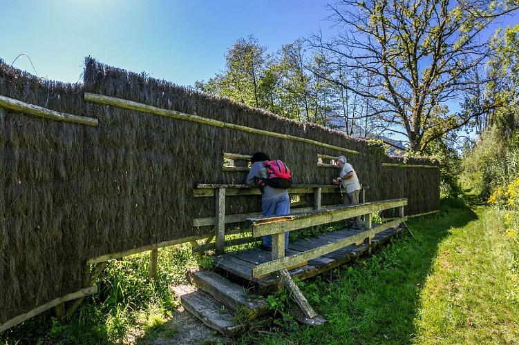 Espace Naturel Sensible des Tourbières de l'Herretang