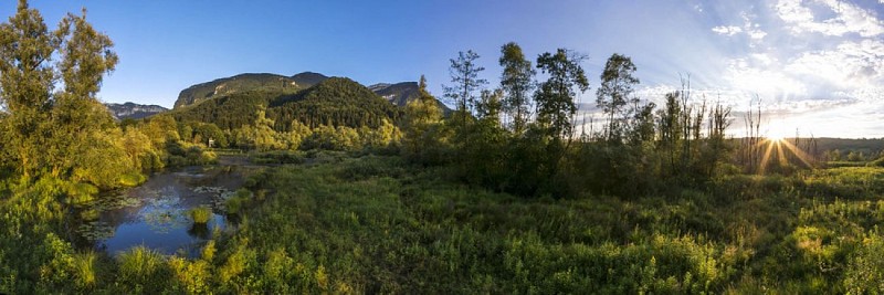 Espace Naturel Sensible des Tourbières de l'Herretang