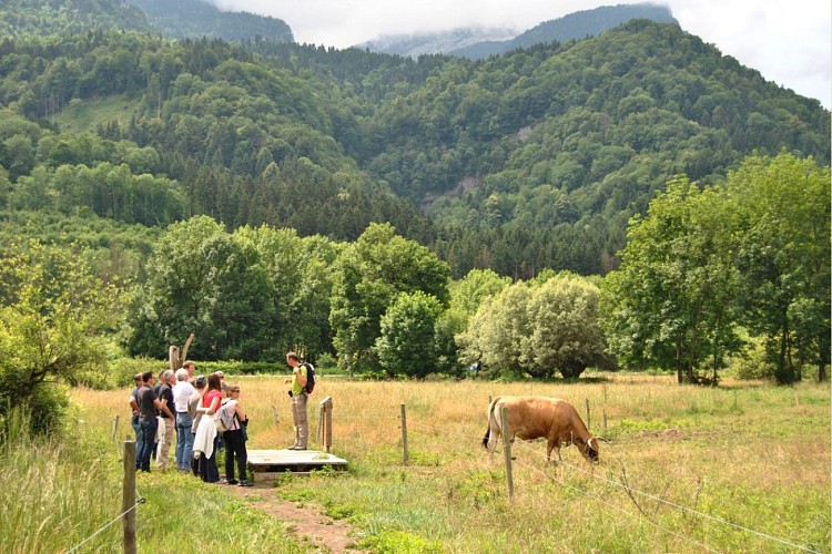 Espace Naturel Sensible des Tourbières de l'Herretang