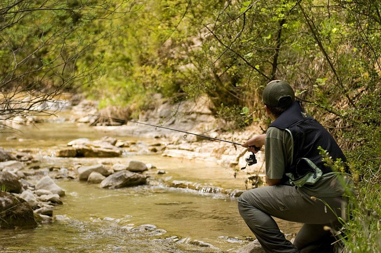 PARCOURS « NO KILL CARNASSIERS » DE « MONTGIROUX »