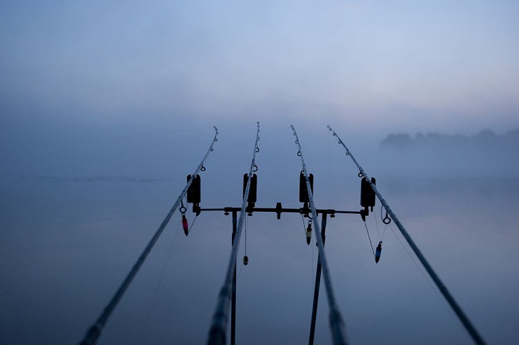 PECHE À LA CARPE DE NUIT EN HAUTE MAYENNE
