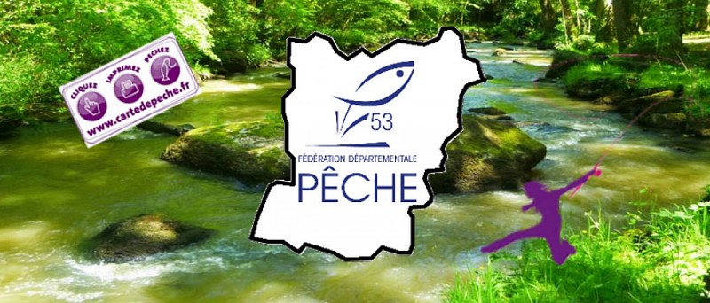 PECHE À LA CARPE DE NUIT EN HAUTE MAYENNE