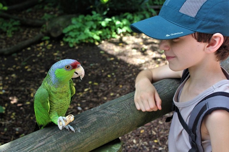 SIT-Zoo-Asson-Hautes-Pyrenees (5)