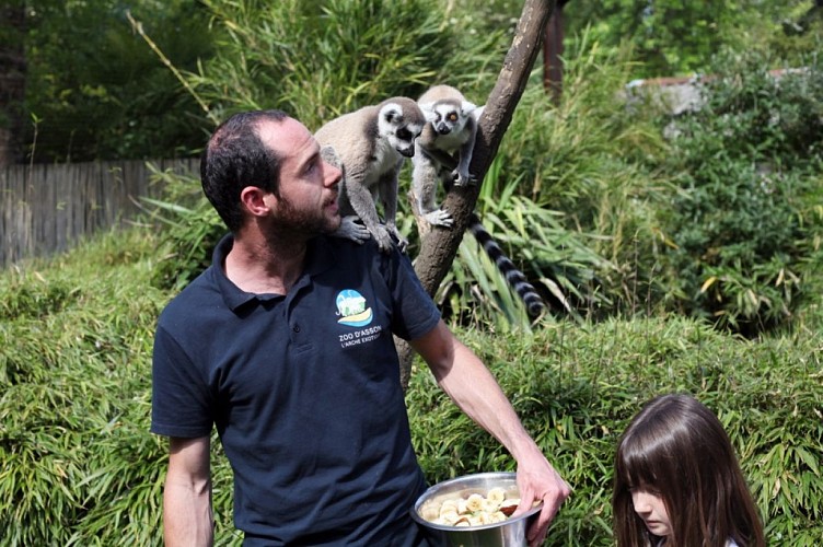 SIT-Zoo-Asson-Hautes-Pyrenees (1)