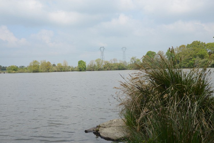 Pêche dans l'étang de la Coudraie