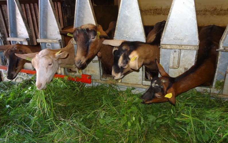 Aire de services pour camping-cars à la Ferme du Port Aubry