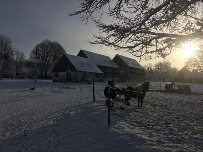 Domaine du bois du loup sous la neige