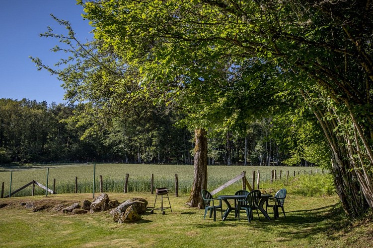 Table de jardin à l'ombre