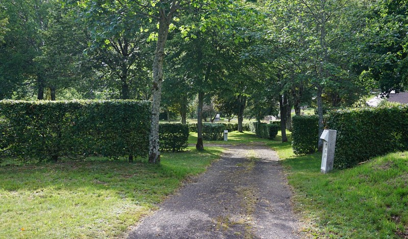 Emplacements du camping 