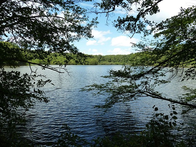 Camping de l'Etang du Merle