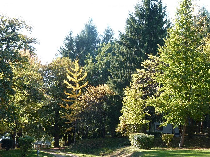 Parc arboré