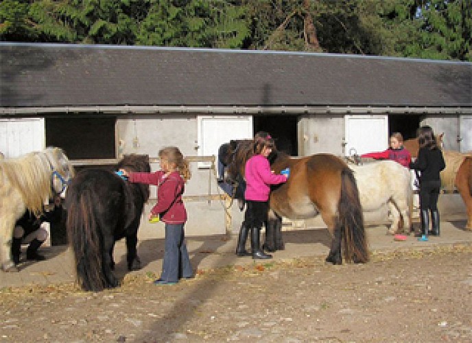 Poney Club et Centre Equestre de Prunevaux 