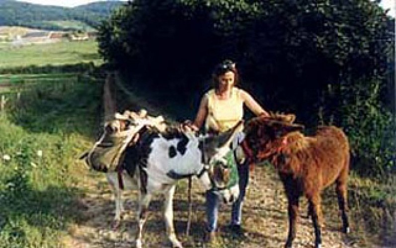 Les Escapades de Steph'âne 