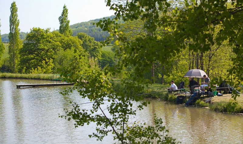 Carpodrome de l'Etang de la Fougeraie