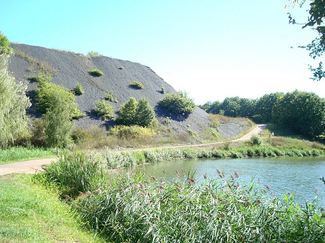 Etang Grenetier et buttes de charbon