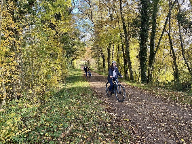 Novembre - vélos forêt©OT