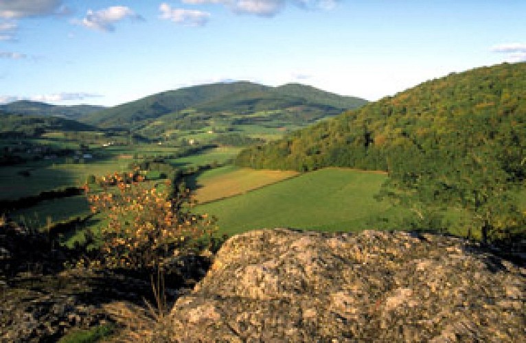 Le Massif du Morvan