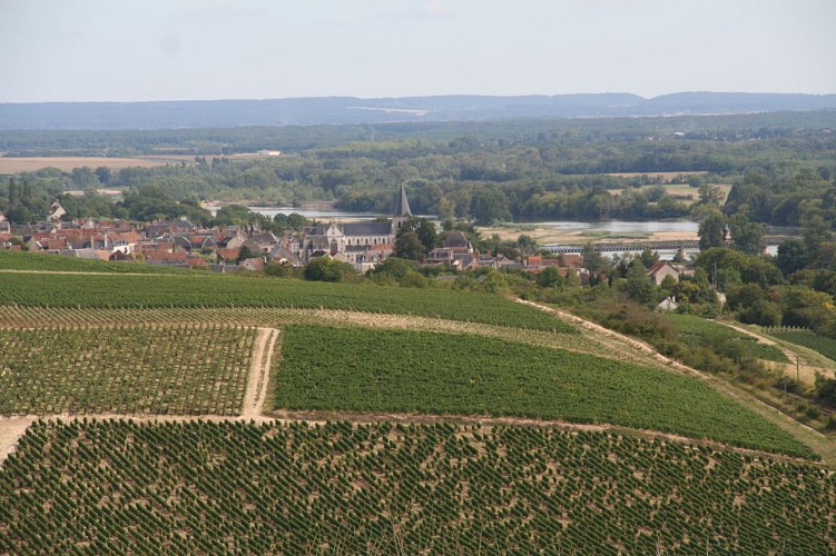 Vignoble de Pouilly-sur-Loire