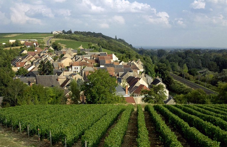 Vignoble de Pouilly-sur-Loire