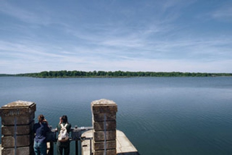 Les Etangs de Vaux et Baye