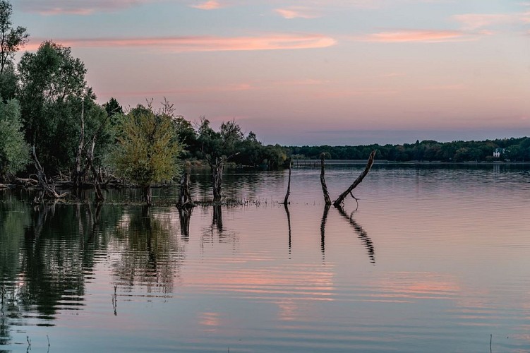 Etang de Baye-Lezbroz (3)