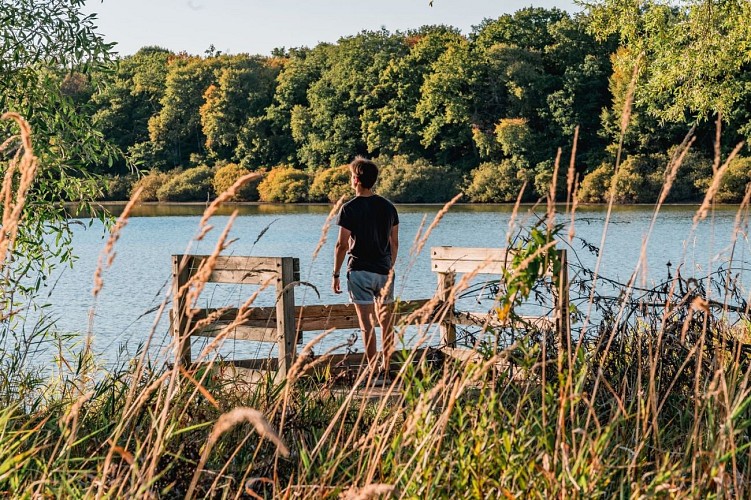 Etang de Baye-Lezbroz (2)