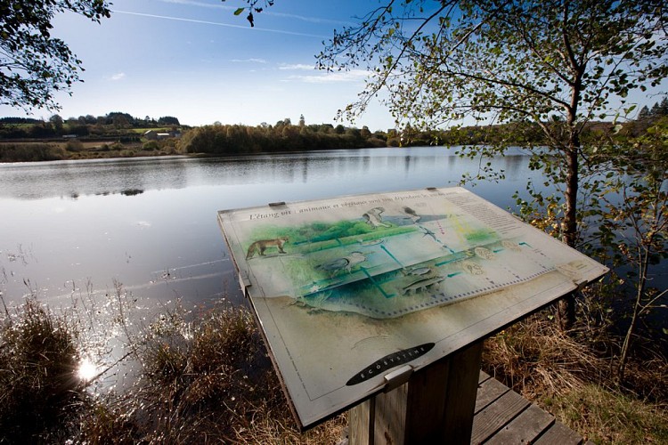 etang-taureau