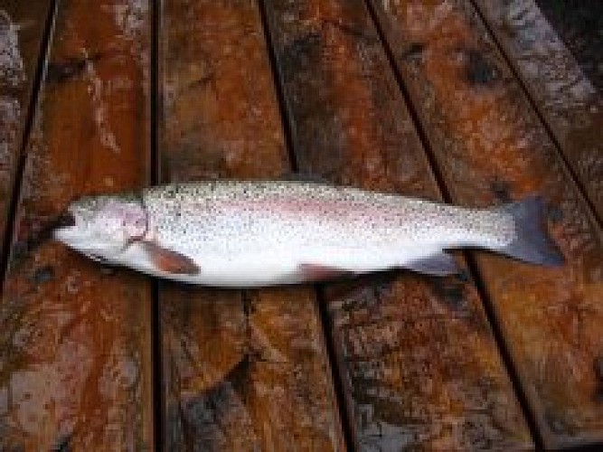 Le Réservoir du Châtelet 