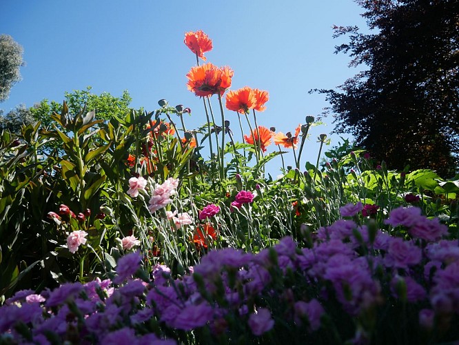 Arboretum Feuilles Fleuries 