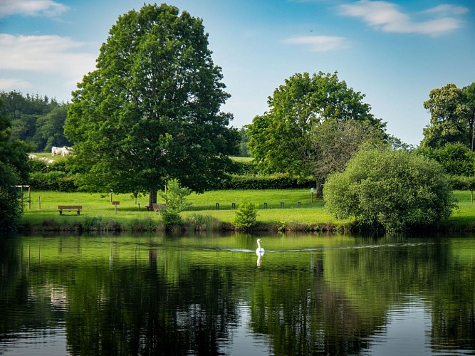 Etang du Goulot - Lormes