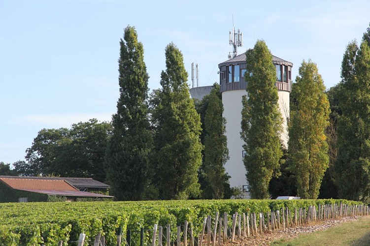 Belvedere de Saint-Andelain