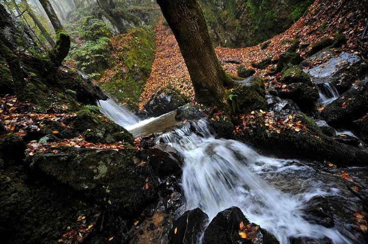 Cascade de la Dragne