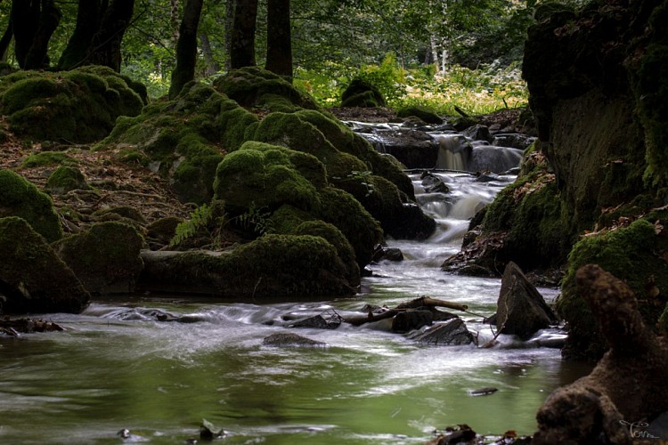 Cascade de la Dragne