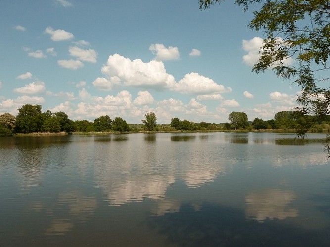L'étang de Marvy à Neuvy-sur-Loire