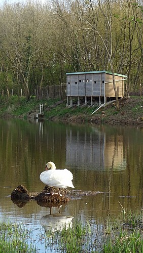 L'étang de Marvy à Neuvy-sur-Loire