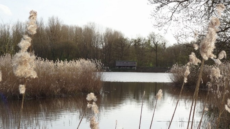 L'étang de Marvy à Neuvy-sur-Loire