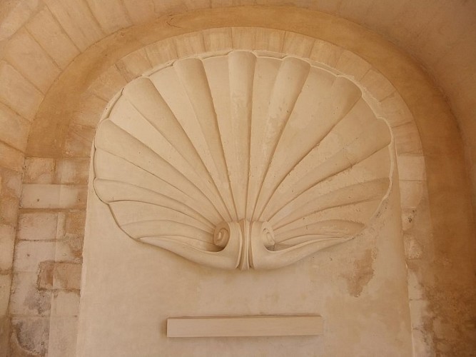 Coquille - Droit Ok  (5)