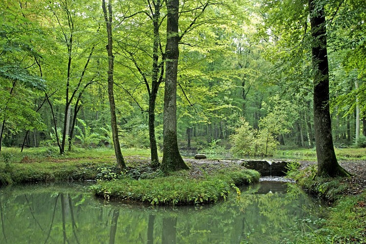 Fontaine des Bougers