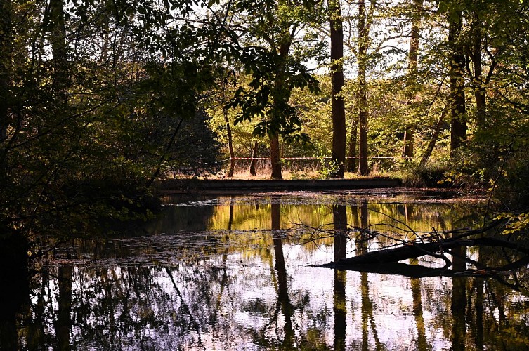 Fontaine des Bougers en automne