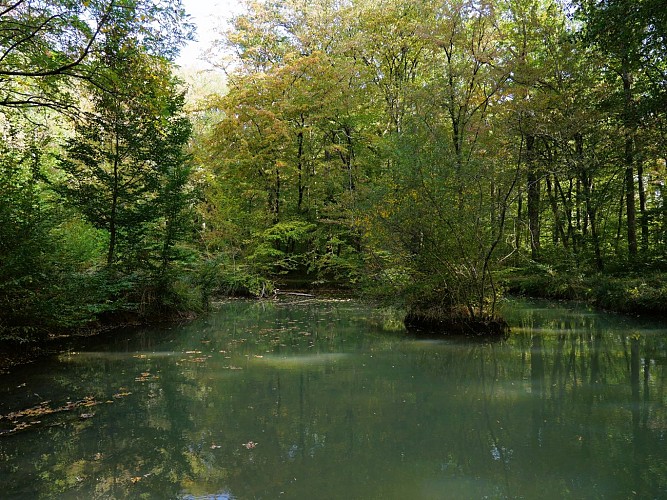 Fontaine des Bougers en automne