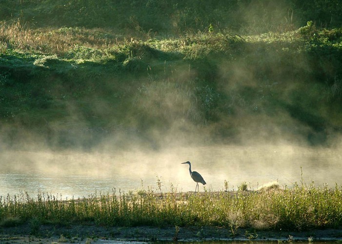 Loire-Sauvage-S-Jean-Baptiste