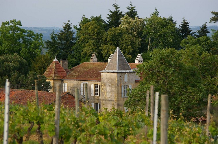 Château de Perron