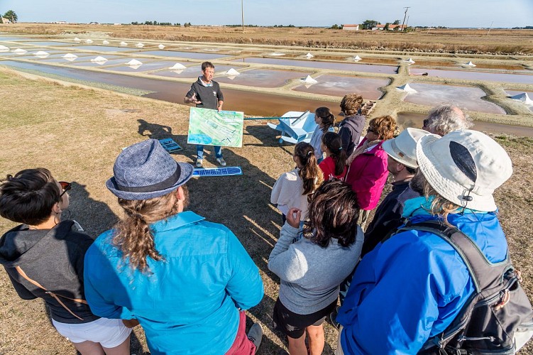 MARAIS SALANT LES VALENCIÈRES