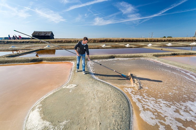 MARAIS SALANT LES VALENCIÈRES