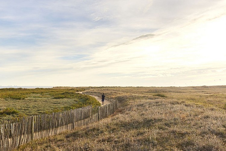 La Pointe de l'Aiguillon