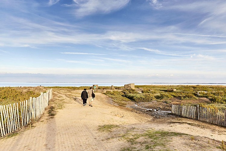 La Pointe de l'Aiguillon