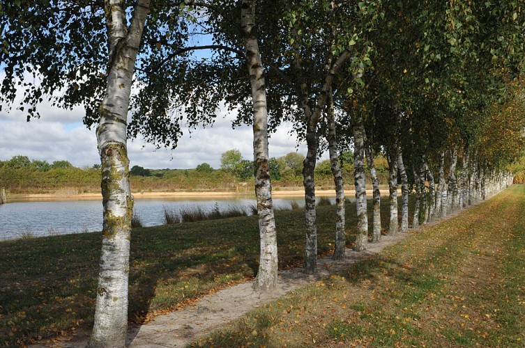 Pêche à l'étang des Noues